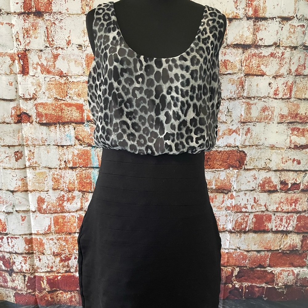 Leopard Express Dress